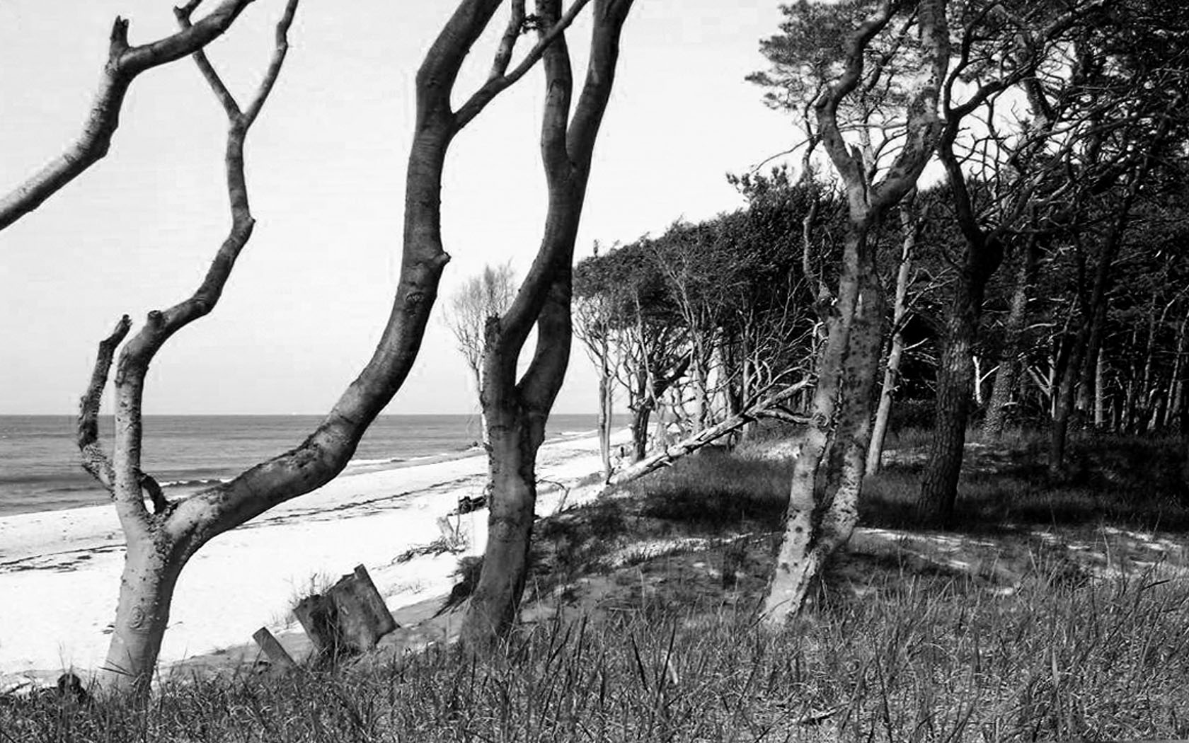 Foto Havel Angler Sonnenuntergang